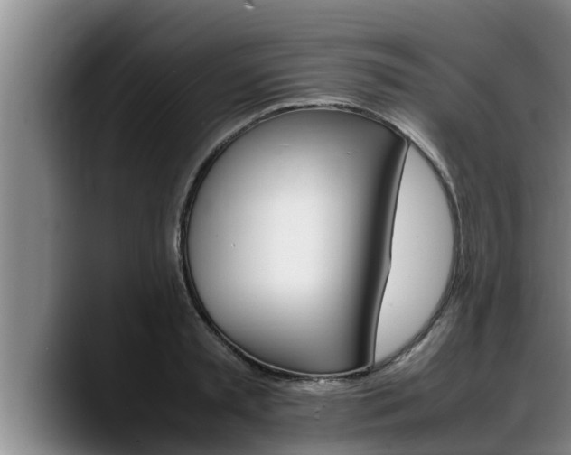X0000090410797200707201059