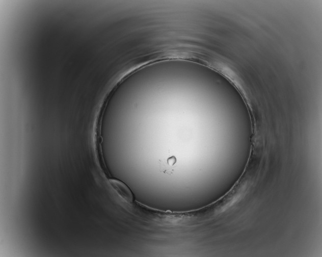 X0000090410803200707201059