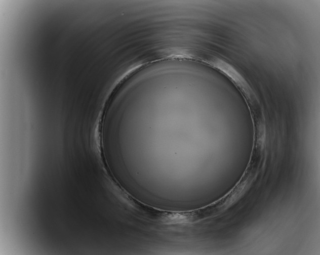 X0000090410806200707201059