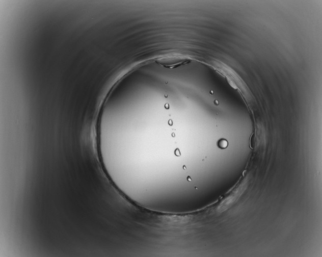 X0000090410812200707201059