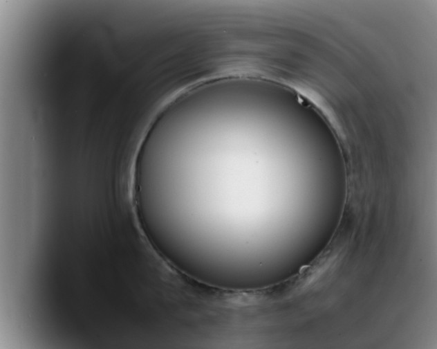 X0000090410815200707201059