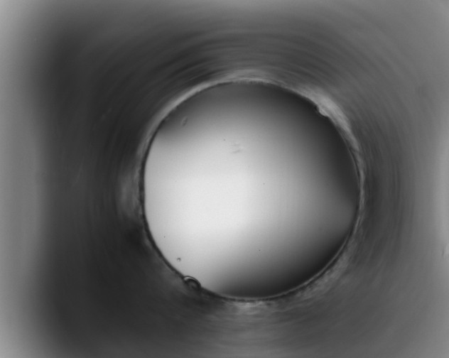 X0000090410816200707201059