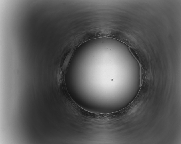 X0000090410818200707201058