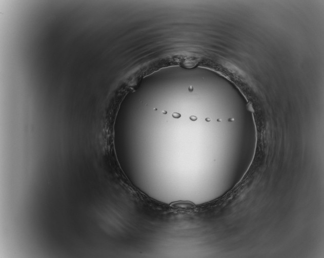 X0000090410822200707201058