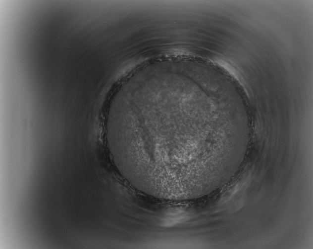 X0000090410823200707201058