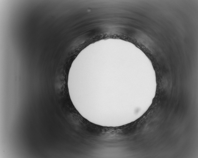 X0000090410824200707201058