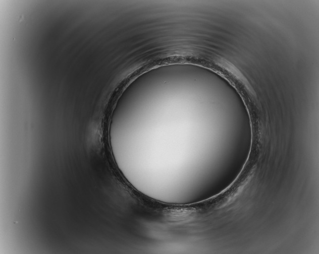 X0000090410826200707201058