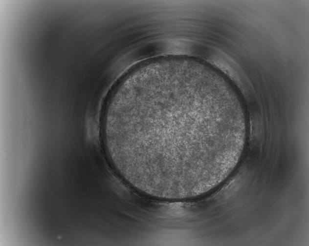 X0000090410828200707201059