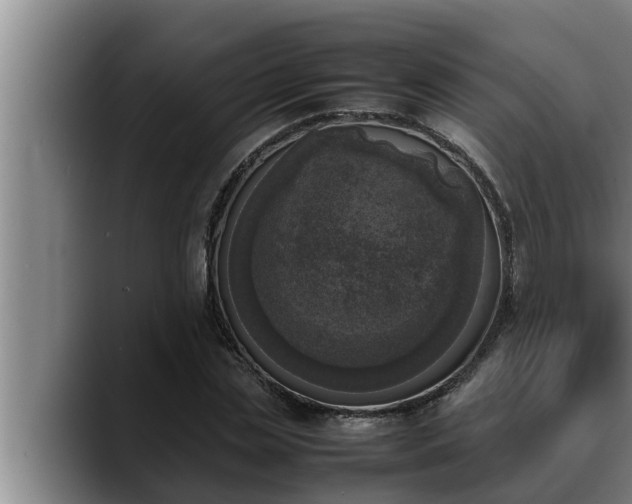 X0000090410829200707201059