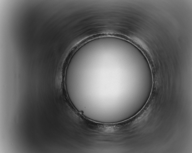 X0000090410831200707201059