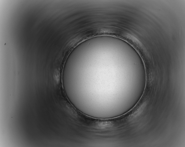 X0000090410833200707201059