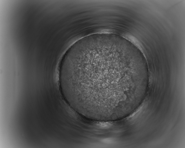 X0000090410835200707201059