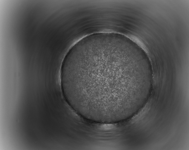 X0000090410839200707201059