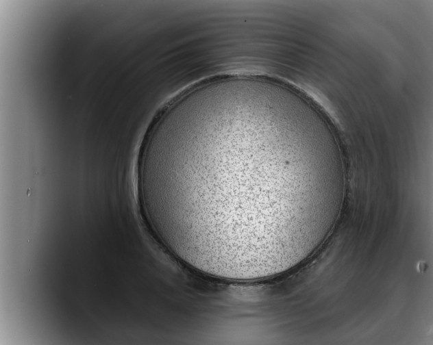 X0000090410840200707201059