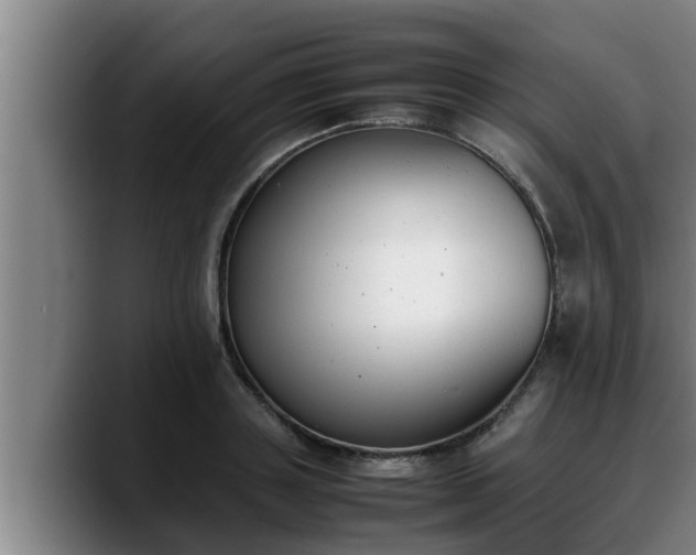 X0000090410843200707201059