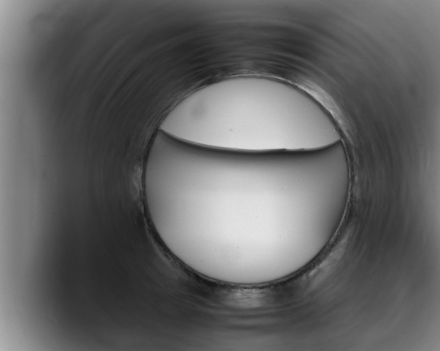 X0000090410849200707201059