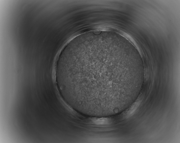 X0000090410851200707201059