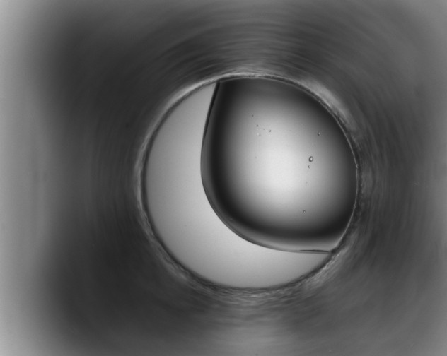 X0000090410854200707201059