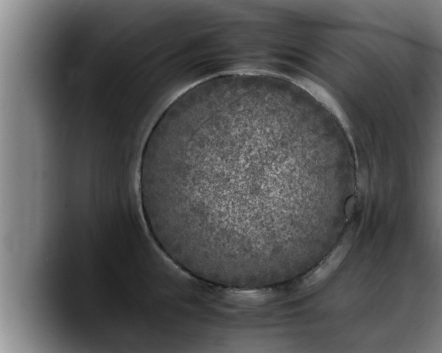 X0000090410855200707201059