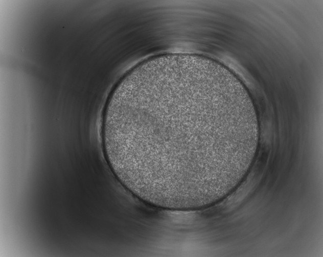 X0000090410856200707201059