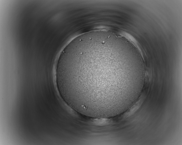 X0000090410859200707201059