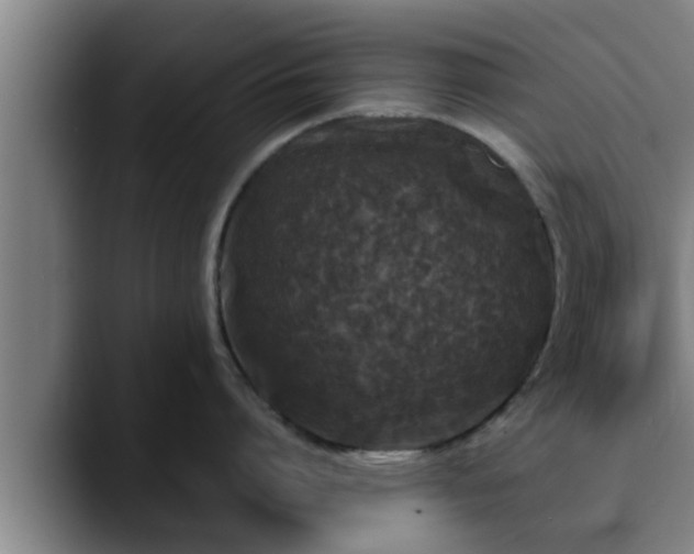 X0000090410864200707201059