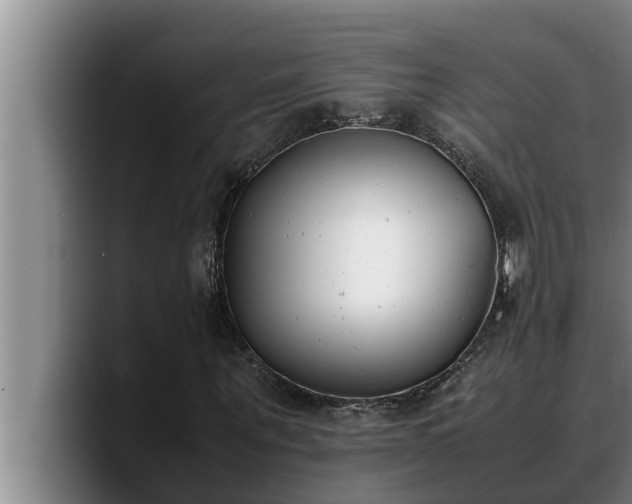 X0000090410867200707201058