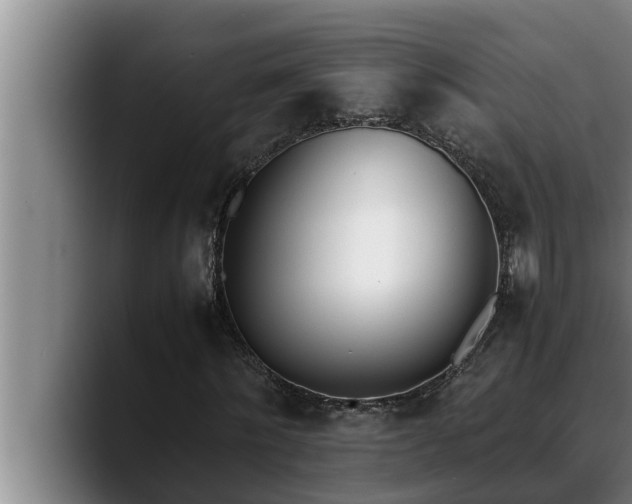 X0000090410868200707201058