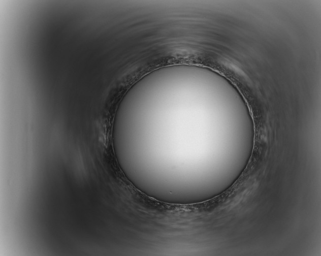 X0000090410869200707201058