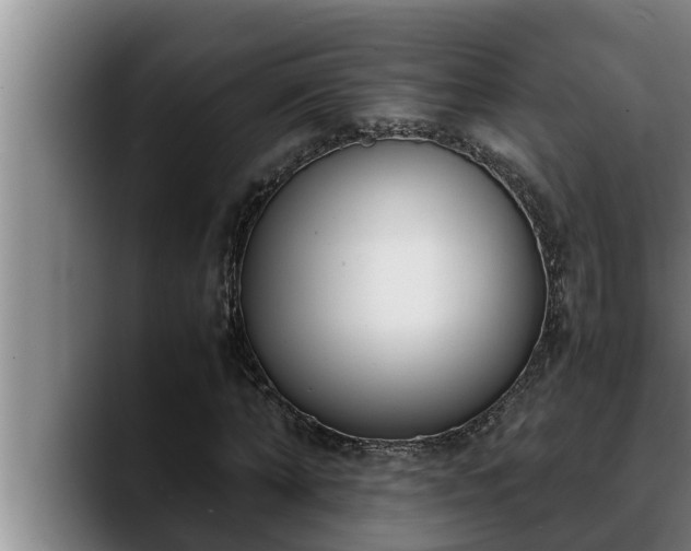 X0000090410870200707201058