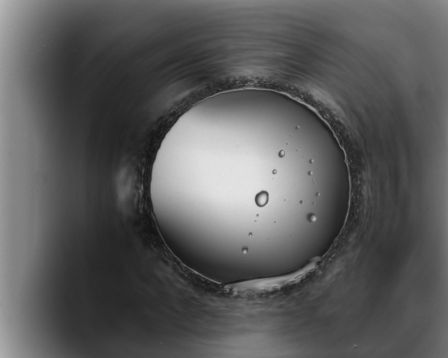 X0000090410872200707201058