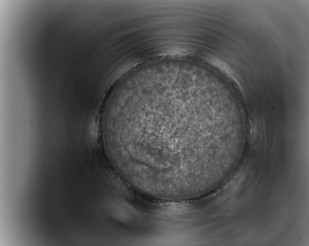 X0000090410874200707201058