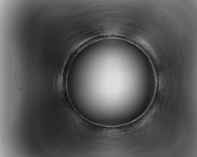 X0000090410876200707201058