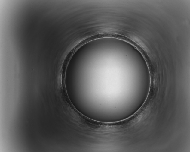 X0000090410877200707201058