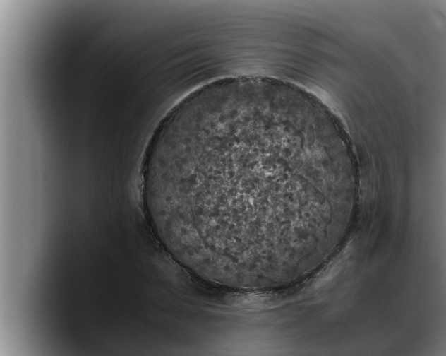 X0000090410879200707201058
