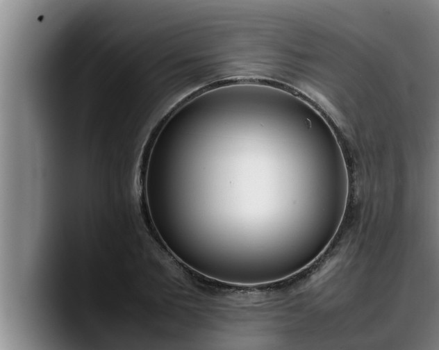 X0000090410885200707201058