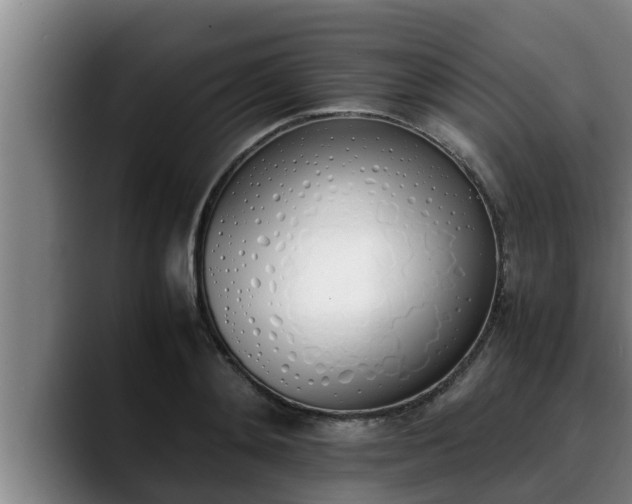 X0000090410892200707201058