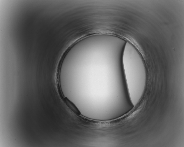 X0000090410893200707201058