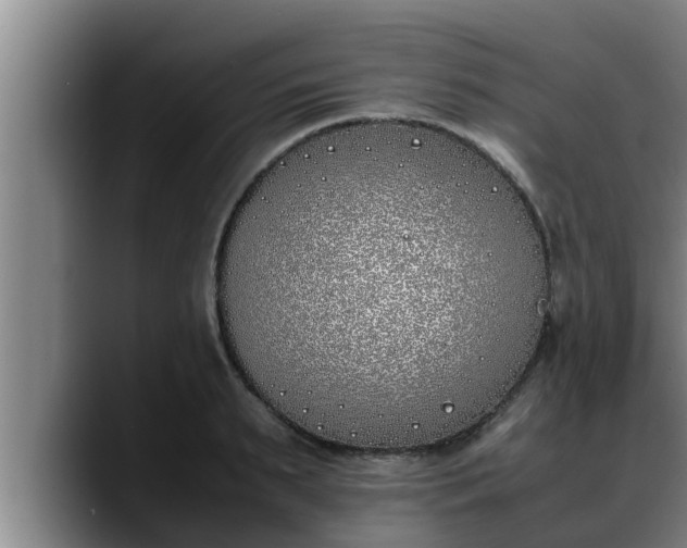 X0000090410895200707201058