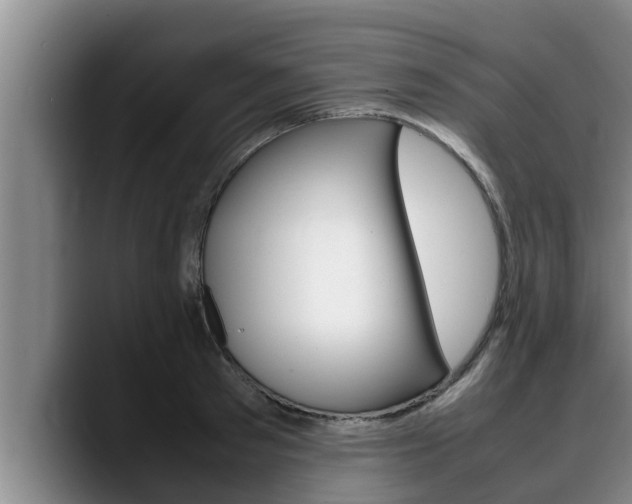X0000090410897200707201058