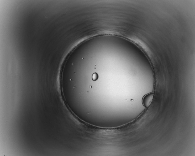 X0000090410902200707201058