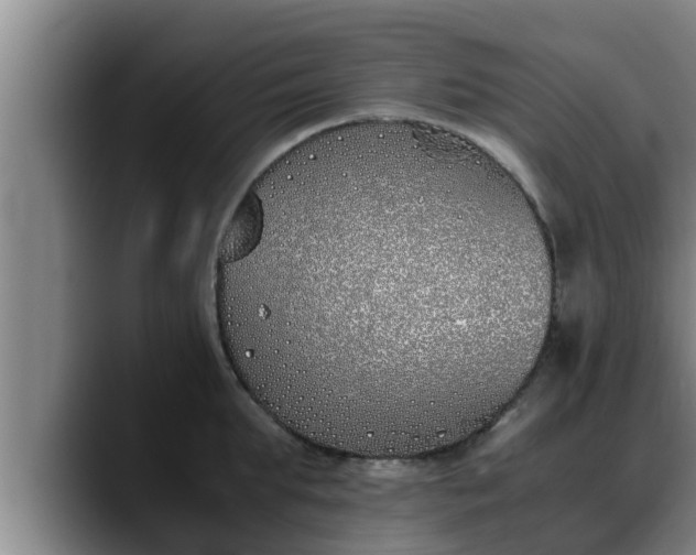X0000090410903200707201058