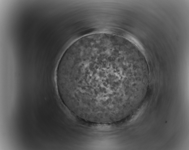 X0000090410907200707201058