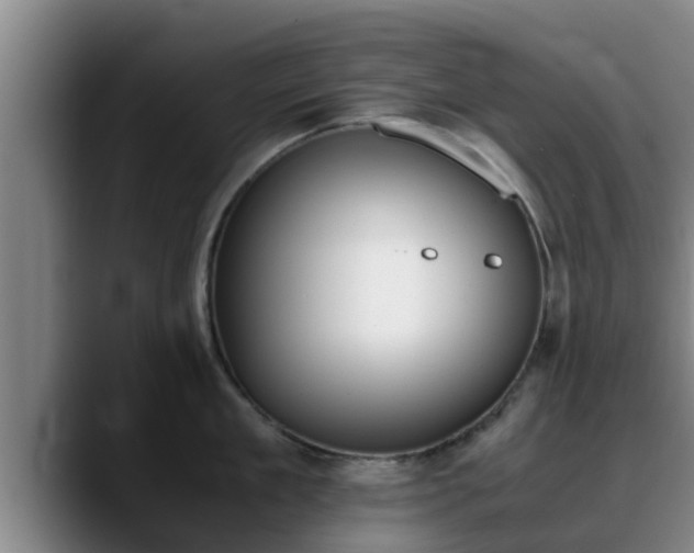 X0000090410909200707201058