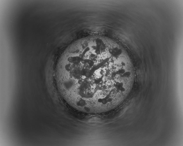 X0000090410913200707201057