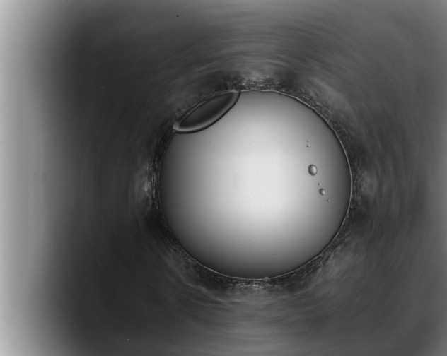 X0000090410914200707201057