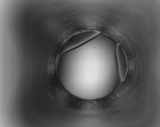X0000090410916200707201057