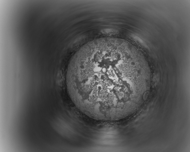 X0000090410917200707201057