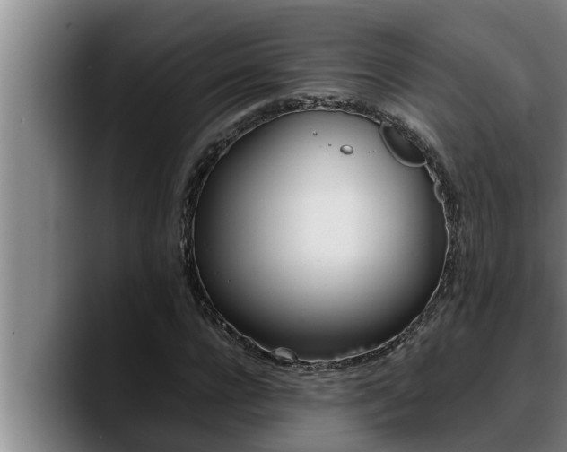 X0000090410920200707201057