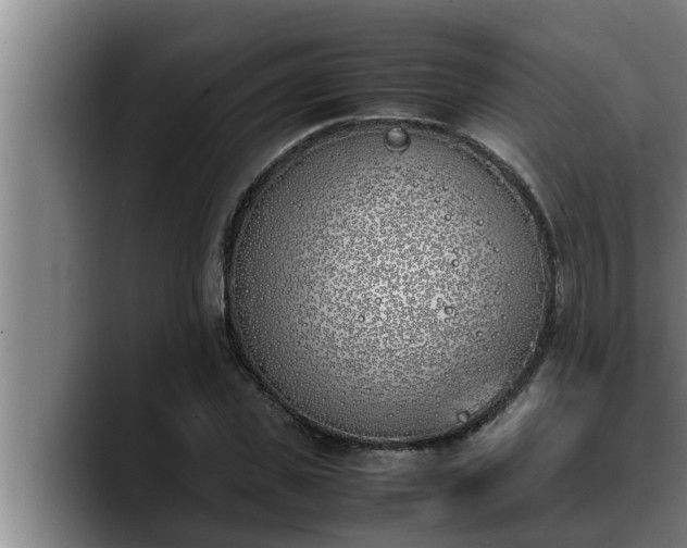 X0000090410925200707201057